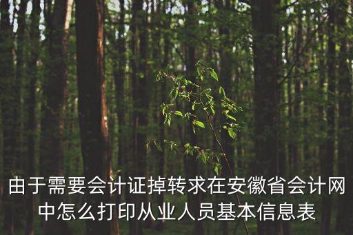 由于需要會計證掉轉(zhuǎn)求在安徽省會計網(wǎng)中怎么打印從業(yè)人員基本信息表