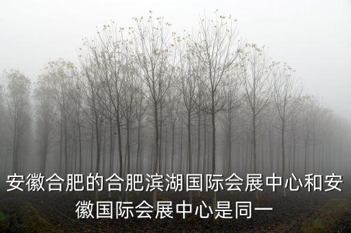 安徽合肥的合肥濱湖國際會展中心和安徽國際會展中心是同一