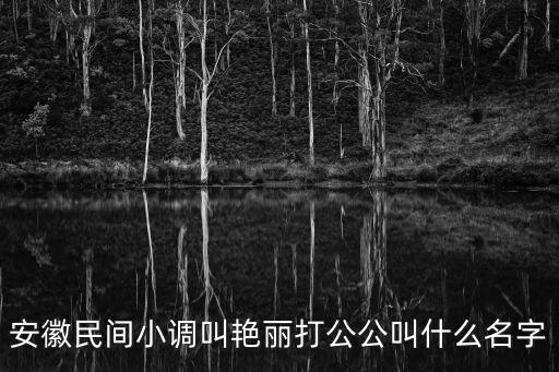 安徽民間小調全集，安徽民間小調叫艷麗打公公叫什么名字