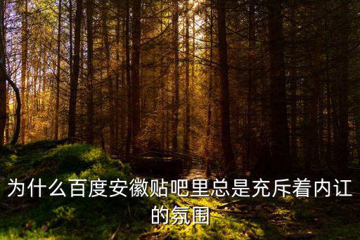 為什么百度安徽貼吧里總是充斥著內訌的氛圍