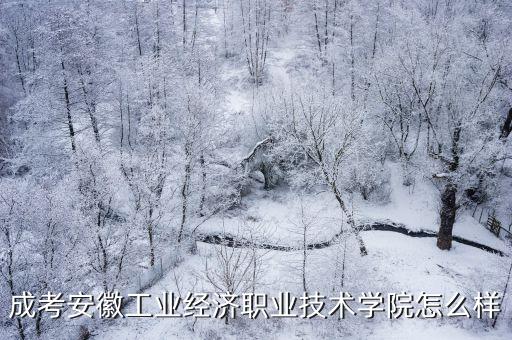 安徽工業經濟學院，安徽工業經濟職業技術學院都有哪些專業知道的介紹一下