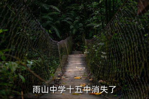 安徽失聯教師，網友借錢不還請問是詐騙還是經濟糾紛