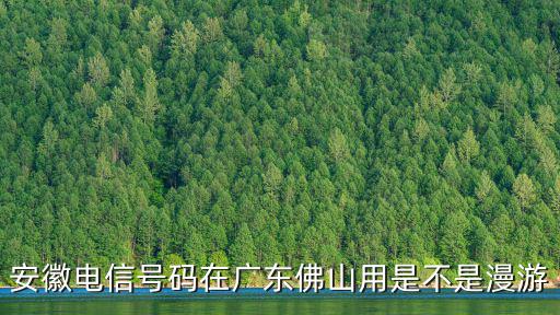 安徽電信號(hào)碼在廣東佛山用是不是漫游