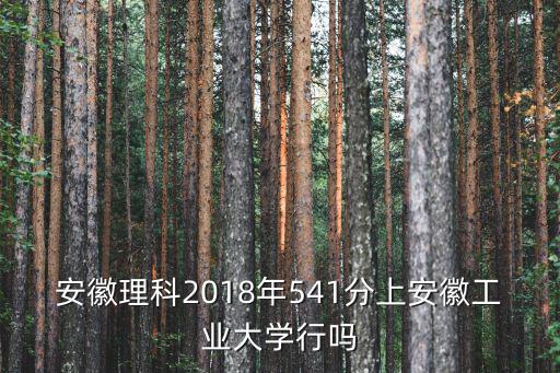 安徽理科2018年541分上安徽工業(yè)大學(xué)行嗎