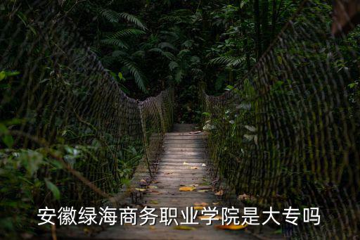 安徽綠海商務職業學院是大專嗎