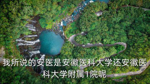 我所說的安醫(yī)是安徽醫(yī)科大學(xué)還安徽醫(yī)科大學(xué)附屬1院呢