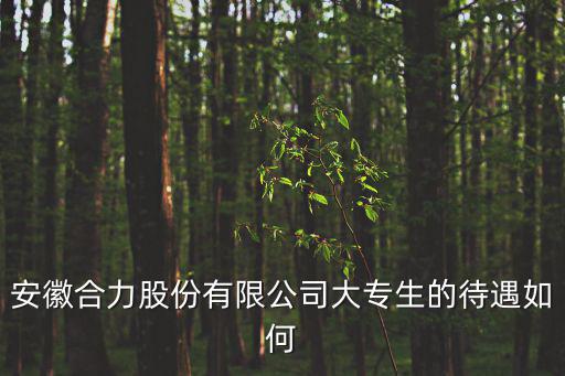 安徽合力股份有限公司大專生的待遇如何