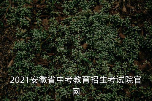 2021安徽省中考教育招生考試院官網(wǎng)