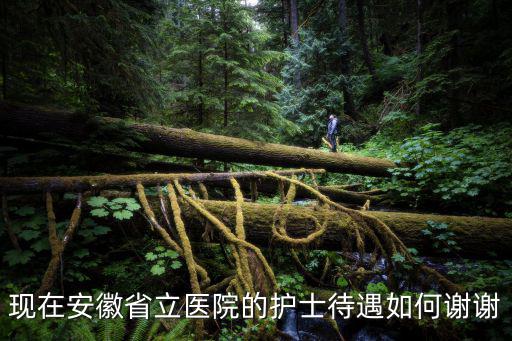 現(xiàn)在安徽省立醫(yī)院的護(hù)士待遇如何謝謝