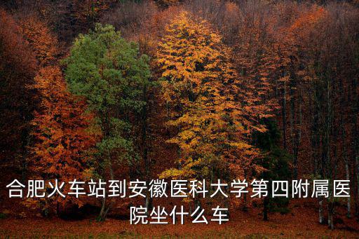 安徽醫科大學第四附屬醫院，合肥火車站到安徽醫科大學第四附屬醫院坐什么車