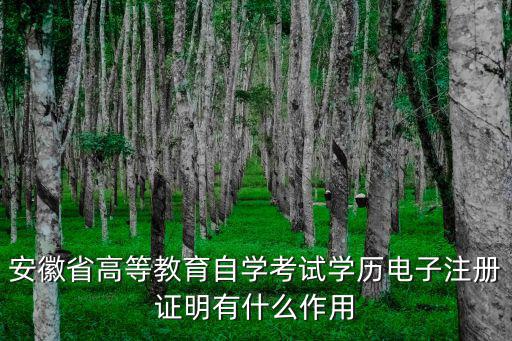 安徽省高等教育自學考試學歷電子注冊證明有什么作用