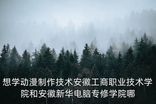 想學(xué)動漫制作技術(shù)安徽工商職業(yè)技術(shù)學(xué)院和安徽新華電腦專修學(xué)院哪