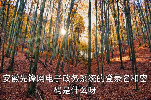安徽先鋒網(wǎng)，安徽先鋒在線看付費(fèi)嗎