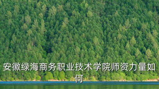 安徽綠海商務(wù)職業(yè)技術(shù)學(xué)院師資力量如何