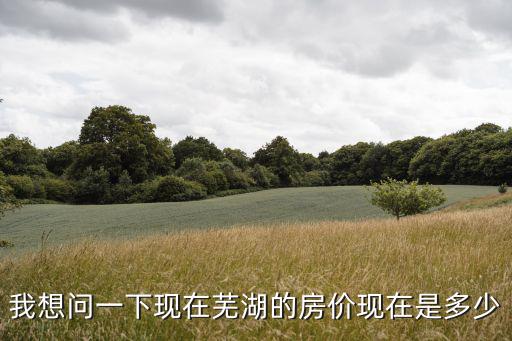 我想問一下現(xiàn)在蕪湖的房價現(xiàn)在是多少