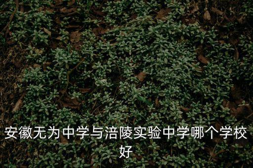 安徽無為中學與涪陵實驗中學哪個學校好