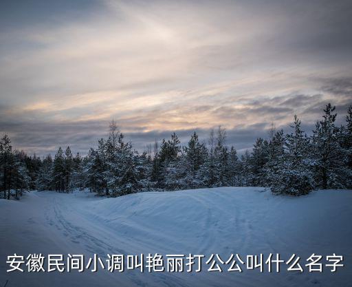 安徽民間小調叫艷麗打公公叫什么名字