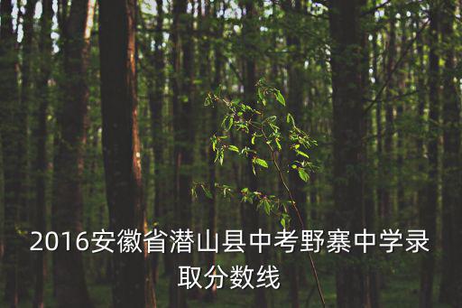 2016安徽省潛山縣中考野寨中學錄取分數線