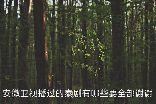 安徽臺(tái)泰國電視劇，安徽衛(wèi)視所有泰劇名稱