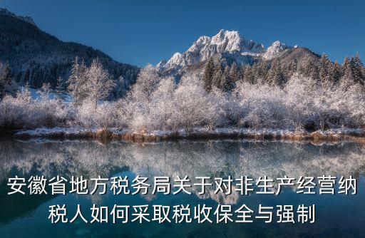 安徽省地方稅務局關于對非生產經營納稅人如何采取稅收保全與強制