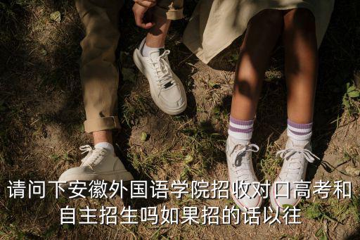 請問下安徽外國語學院招收對口高考和自主招生嗎如果招的話以往
