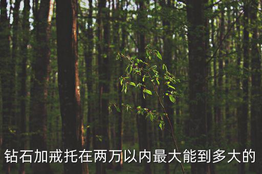 鉆石加戒托在兩萬以內最大能到多大的
