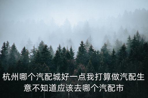 杭州哪個汽配城好一點我打算做汽配生意不知道應該去哪個汽配市