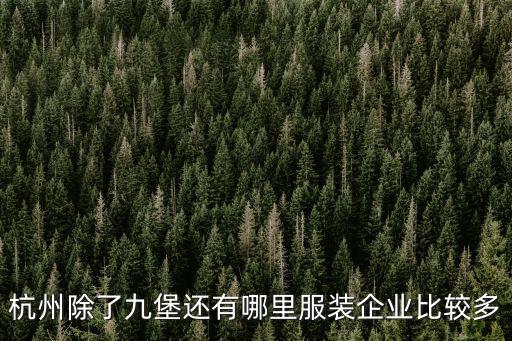 杭州除了九堡還有哪里服裝企業比較多