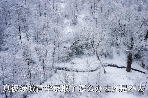 真被綠城育華錄取了怎么辦去還是不去