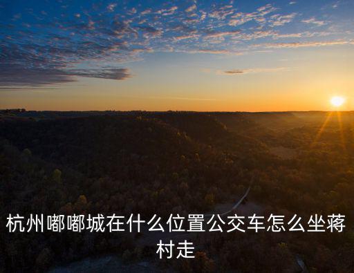 杭州嘟嘟城在什么位置公交車怎么坐蔣村走