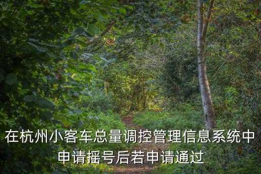 在杭州小客車總量調控管理信息系統中申請搖號后若申請通過