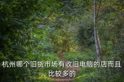 杭州哪個舊貨市場有收舊電腦的店而且比較多的