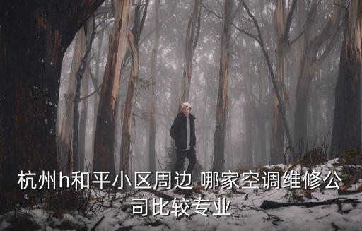 杭州h和平小區周邊 哪家空調維修公司比較專業