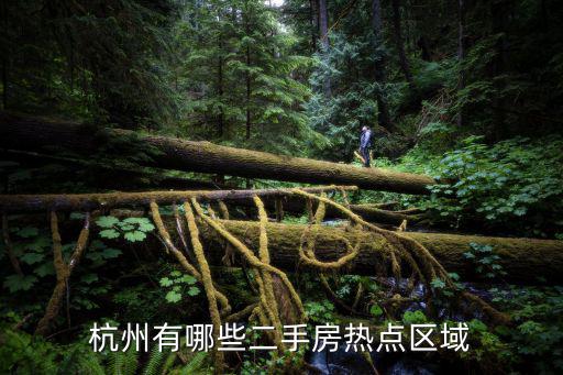 杭州有哪些二手房熱點區域