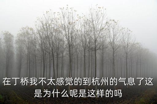 在丁橋我不太感覺的到杭州的氣息了這是為什么呢是這樣的嗎