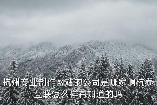 杭州專業(yè)制作網(wǎng)站的公司是哪家啊杭泰互聯(lián)怎么樣有知道的嗎