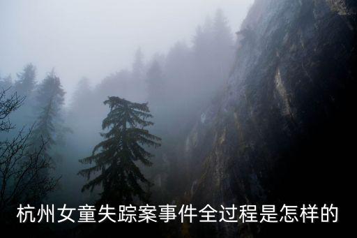 杭州女童失蹤案事件全過程是怎樣的