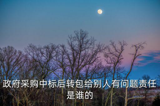 政府采購中標后轉包給別人有問題責任是誰的