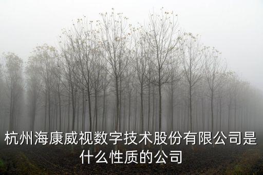 杭州海康威視數字技術股份有限公司是什么性質的公司