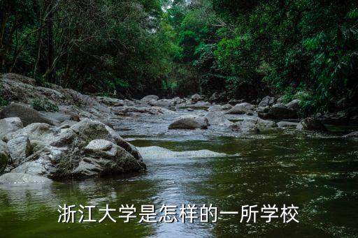 浙江大學是怎樣的一所學校