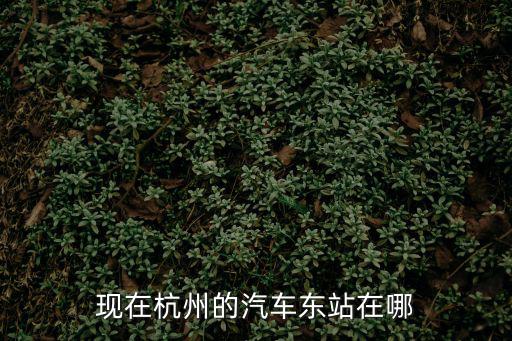 現在杭州的汽車東站在哪