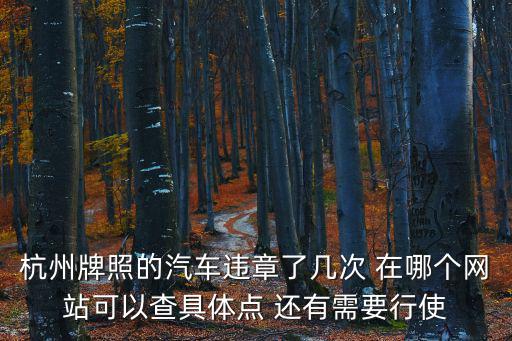 杭州牌照的汽車違章了幾次 在哪個網站可以查具體點 還有需要行使