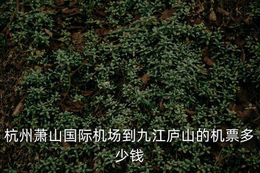 杭州蕭山國際機場到九江廬山的機票多少錢