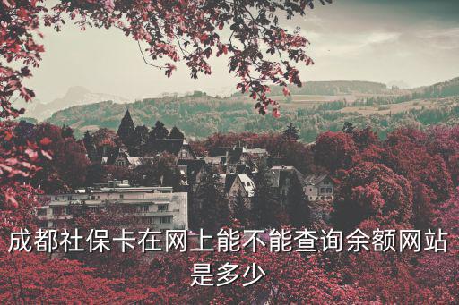 成都社保卡在網(wǎng)上能不能查詢余額網(wǎng)站是多少