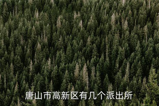 高新派出所，大連高新園區屬于哪個派出所