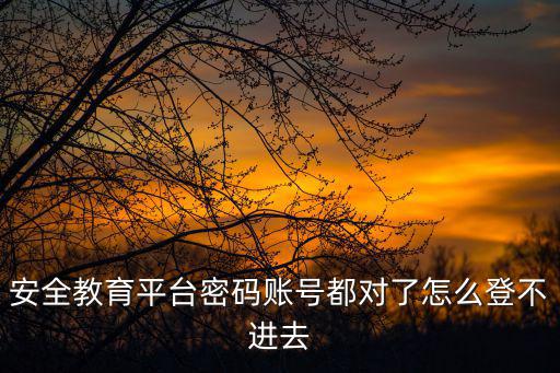 安全教育平臺密碼賬號都對了怎么登不進去