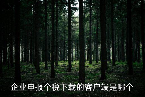 企業(yè)申報個稅下載的客戶端是哪個