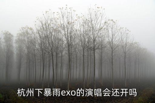 杭州下暴雨exo的演唱會還開嗎