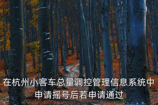 在杭州小客車總量調控管理信息系統中申請搖號后若申請通過