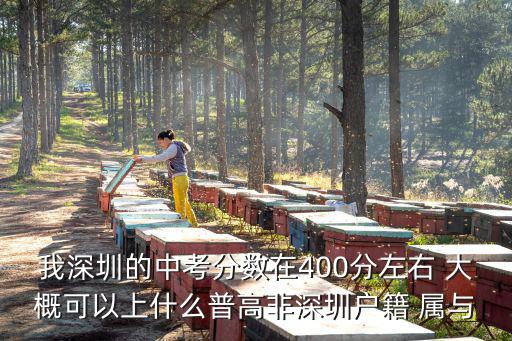 深圳中招網，我深圳的中考分數在400分左右 大概可以上什么普高非深圳戶籍 屬與
